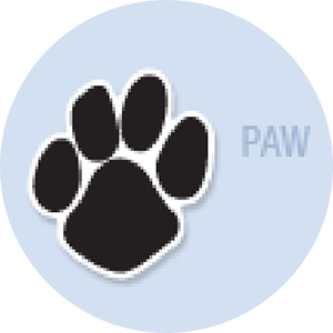 Paw Print Shape Hand Fan